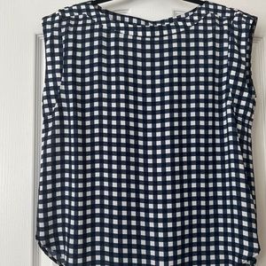 Ann Taylor Factor Blue and White Check Blouse
